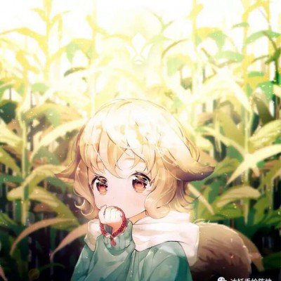 昆明马路现孔雀“逛街”